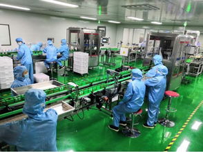 麥吉麗丨全力奔跑,將是品牌下一個五年的使命